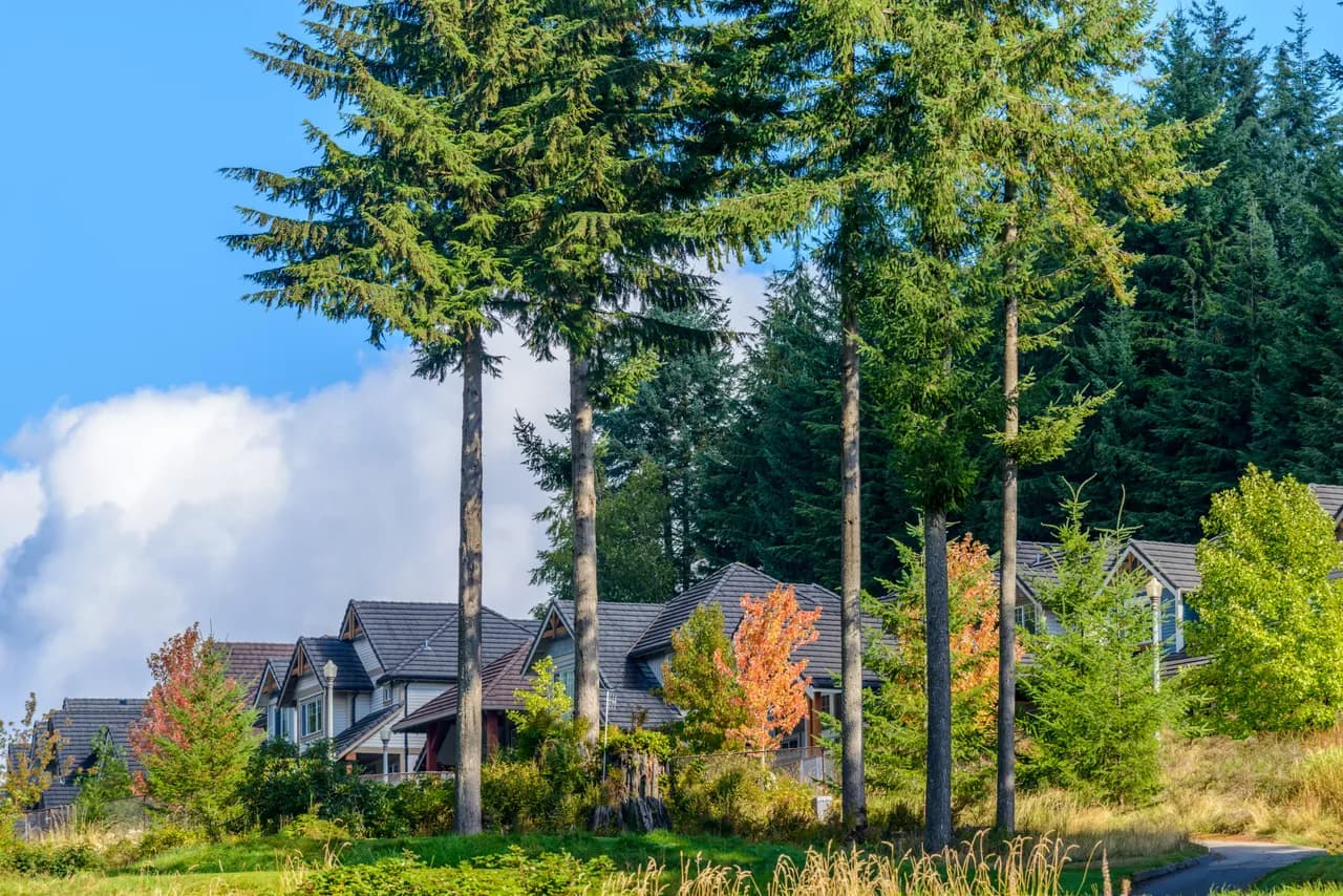Residential home surrounded by green landscape